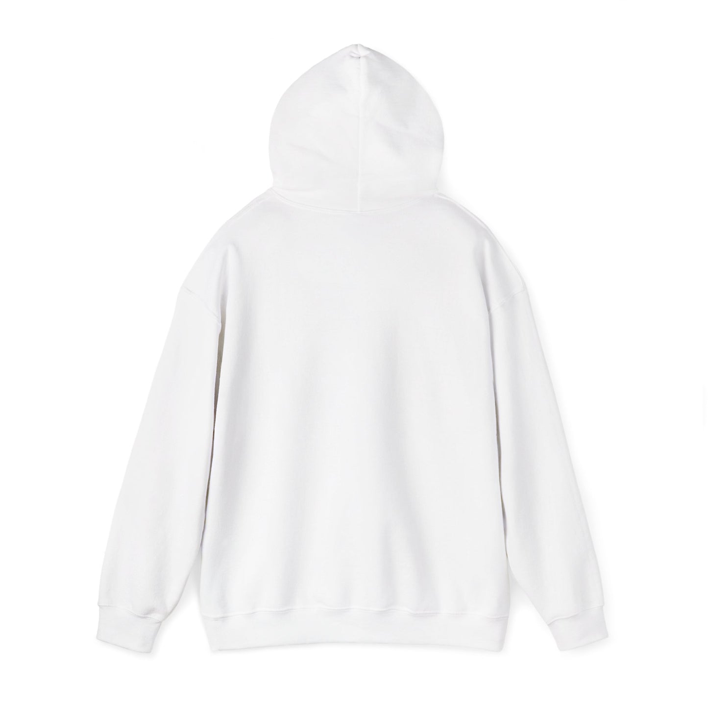 Field Day Fun Hoodie