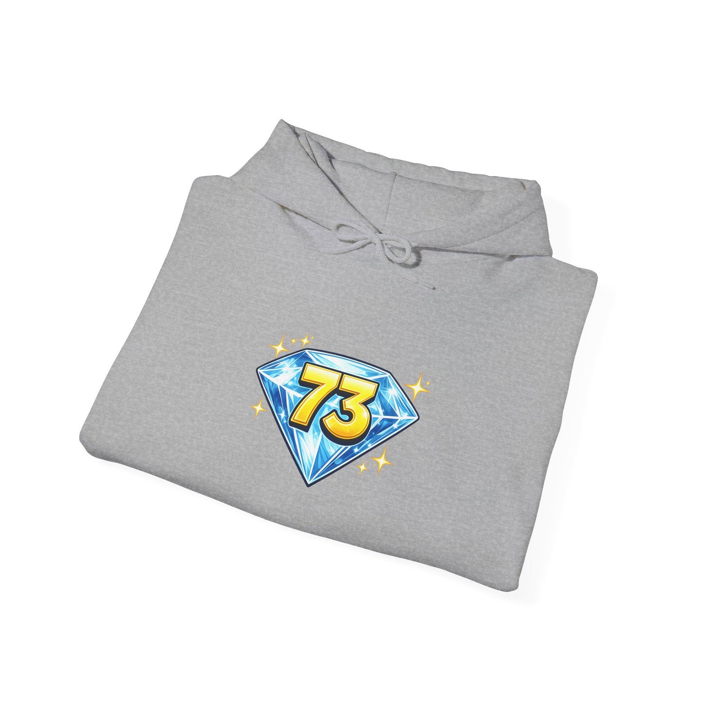 73 Hoodie — Sheldon's Prime or Best Wishes