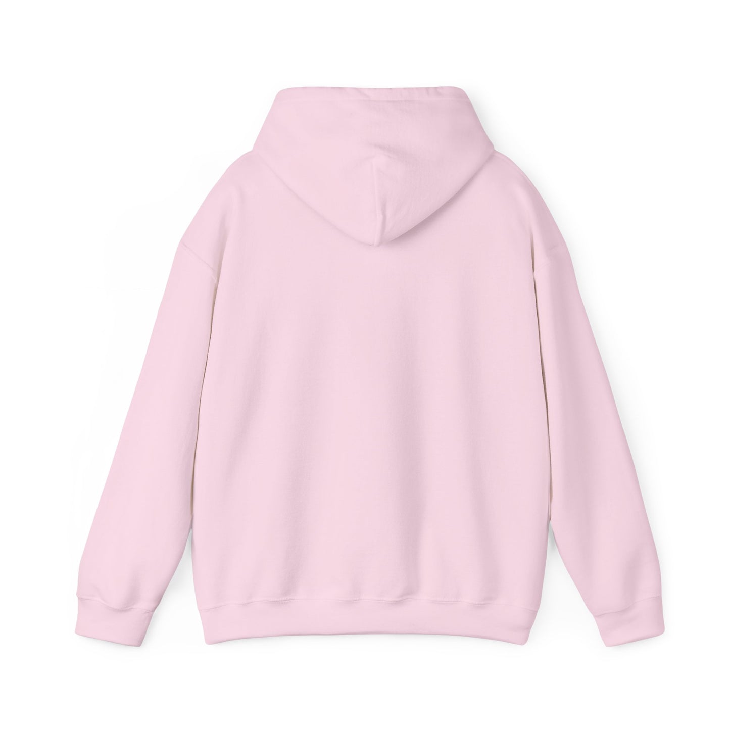 Coordinating Volunteer Examiner Hoodie