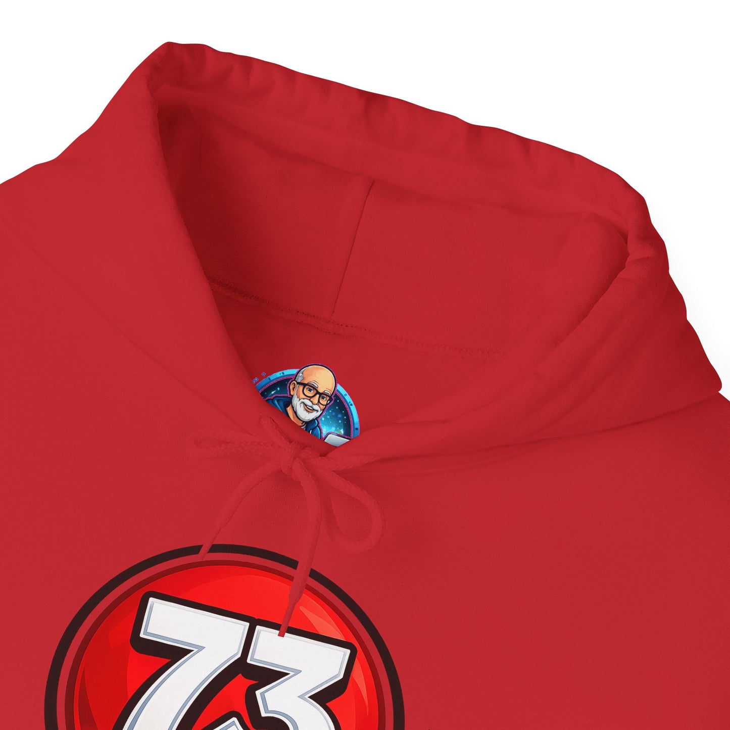 Hoodie — Sheldon's Prime or Ham Best Wishes