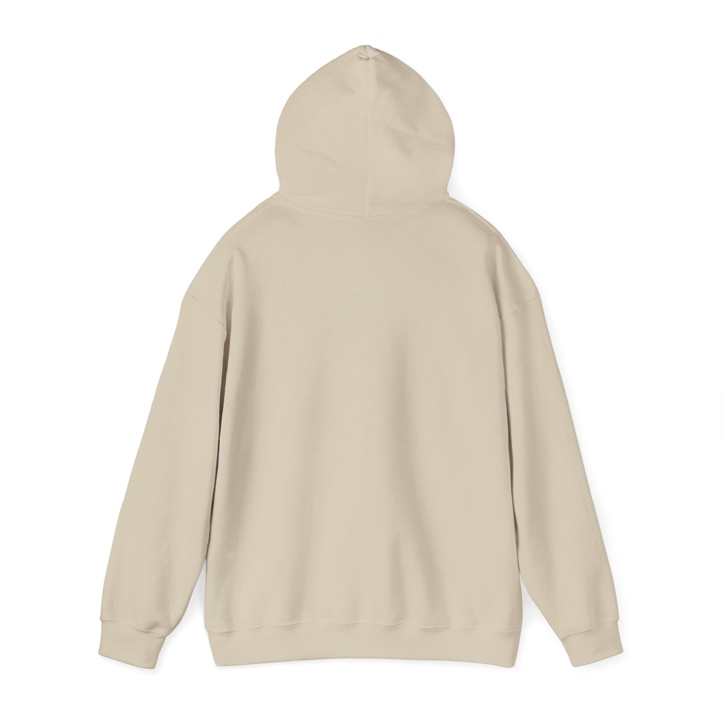 Field Day Fun Hoodie