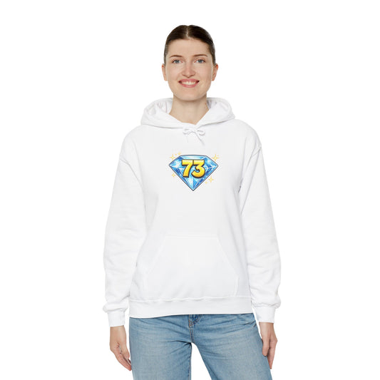 73 Hoodie — Sheldon's Prime or Best Wishes