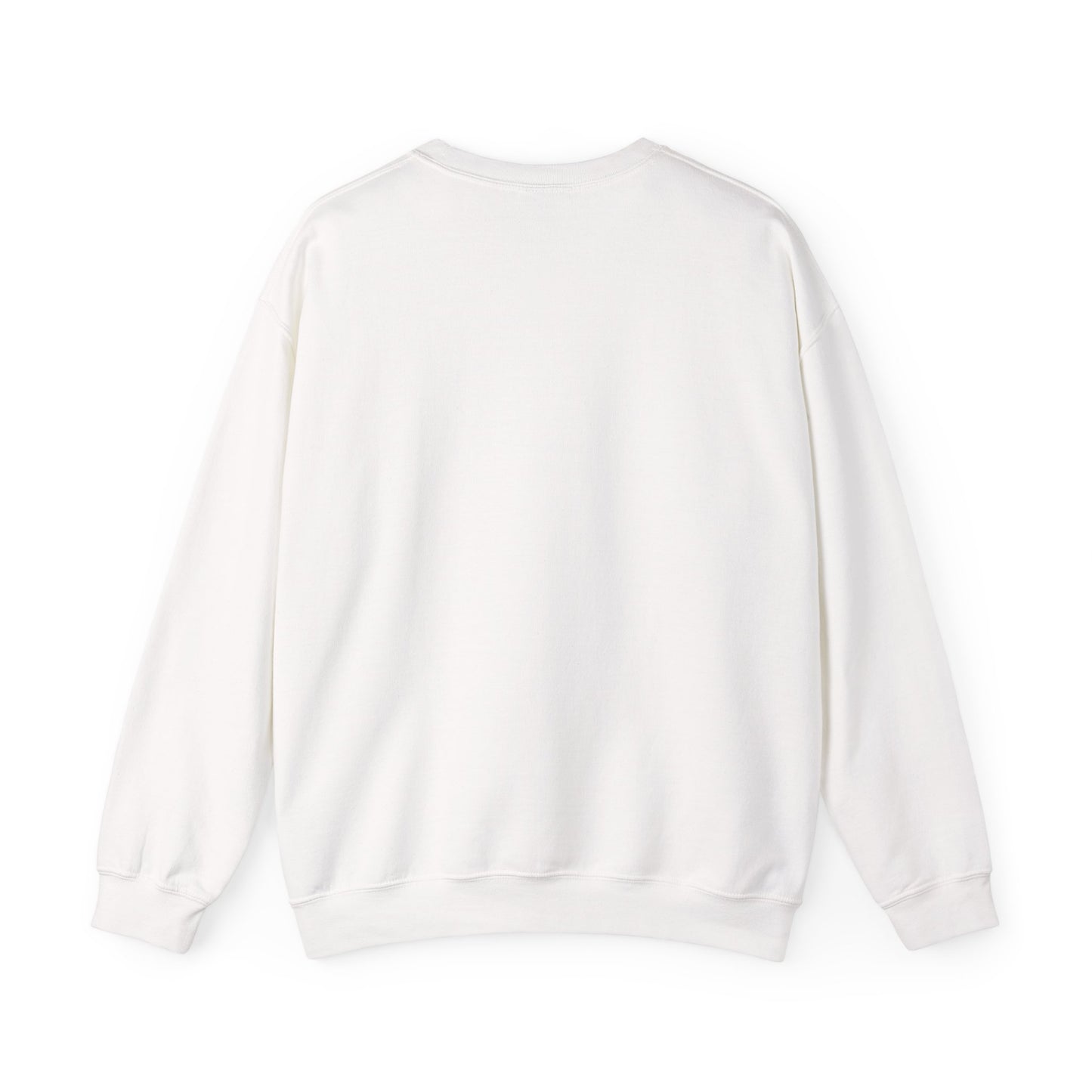 Skywarn Graphic Sweatshirt — Retro Eye Logo Storm Spotter Crewneck