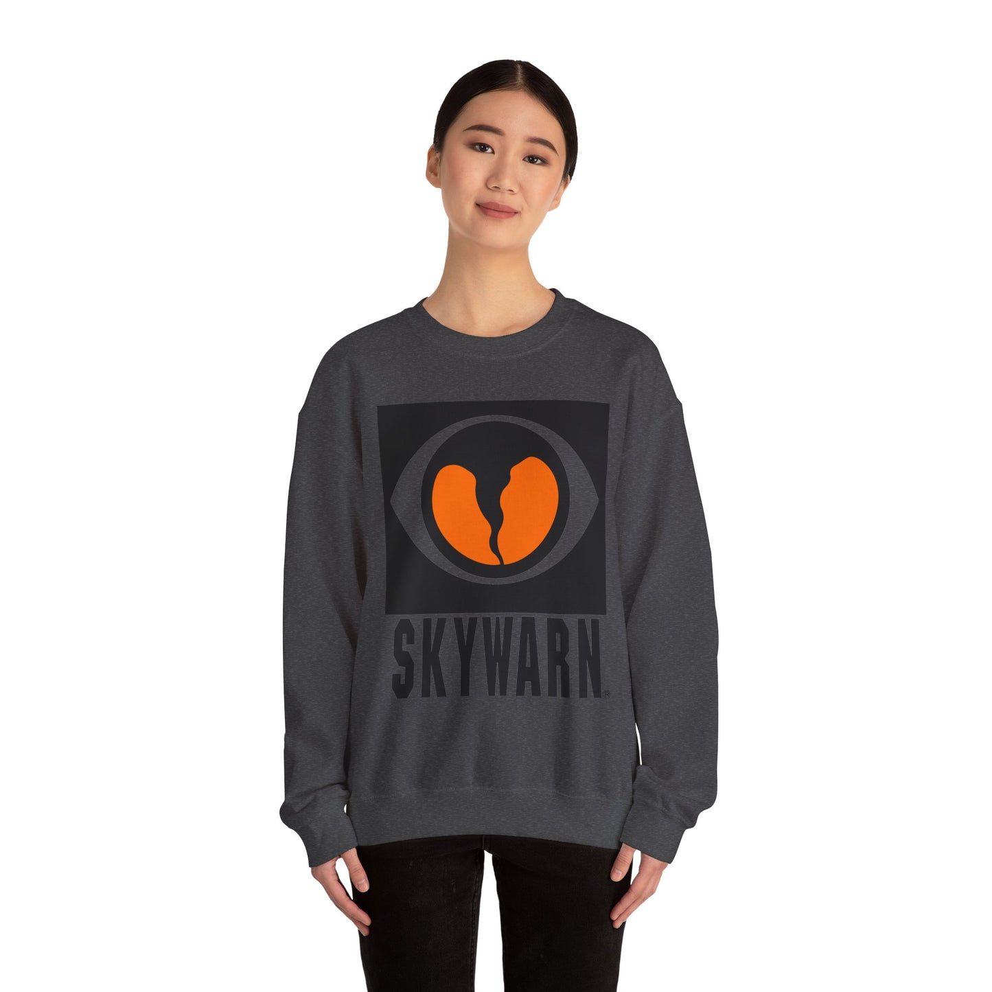 Skywarn Graphic Sweatshirt — Retro Eye Logo Storm Spotter Crewneck