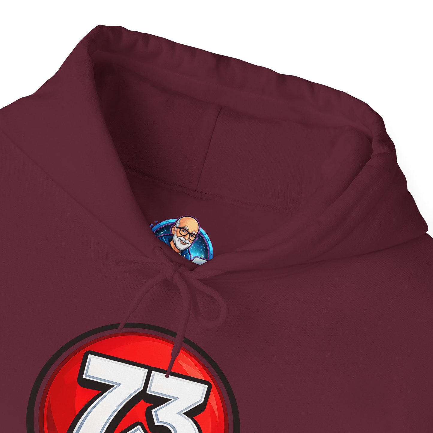 Hoodie — Sheldon's Prime or Ham Best Wishes