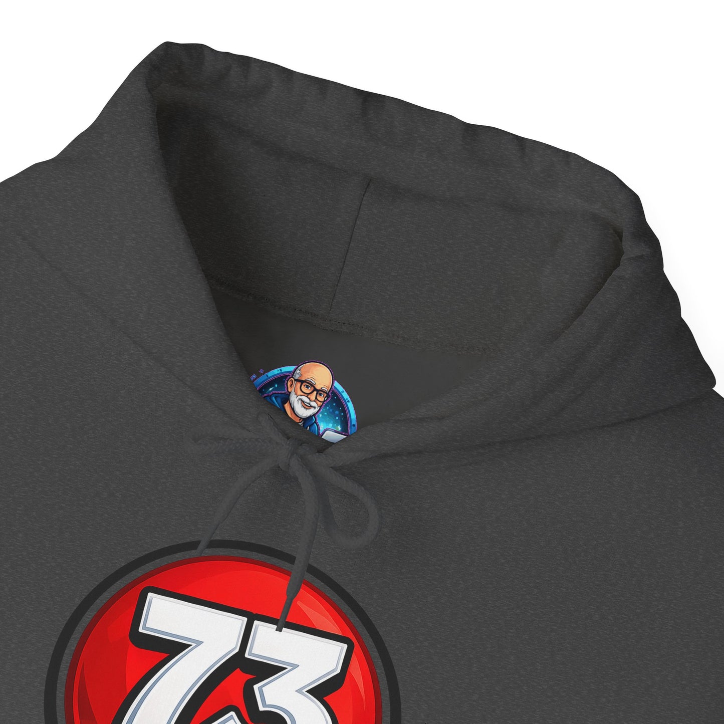 Hoodie — Sheldon's Prime or Ham Best Wishes