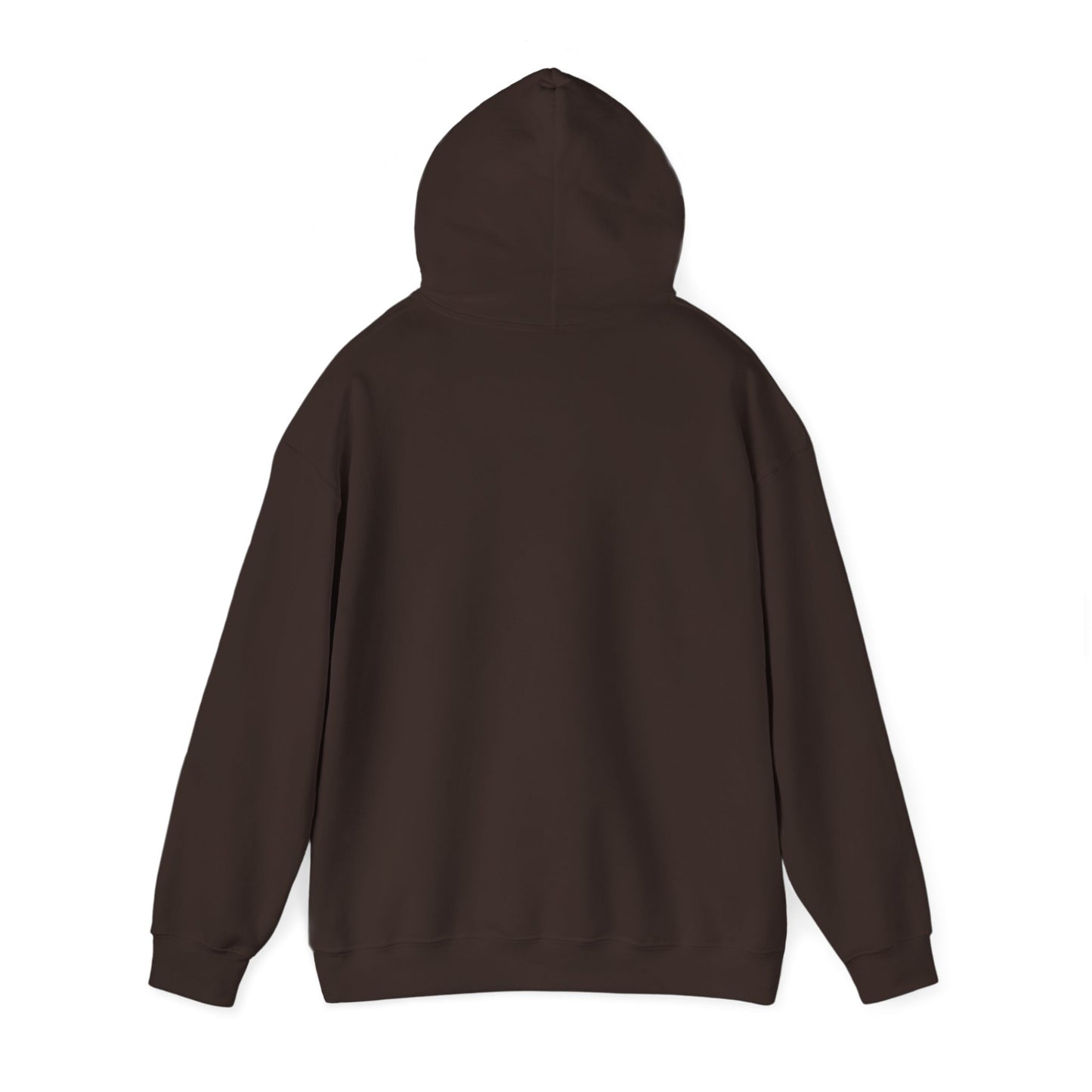 Coordinating Volunteer Examiner Hoodie