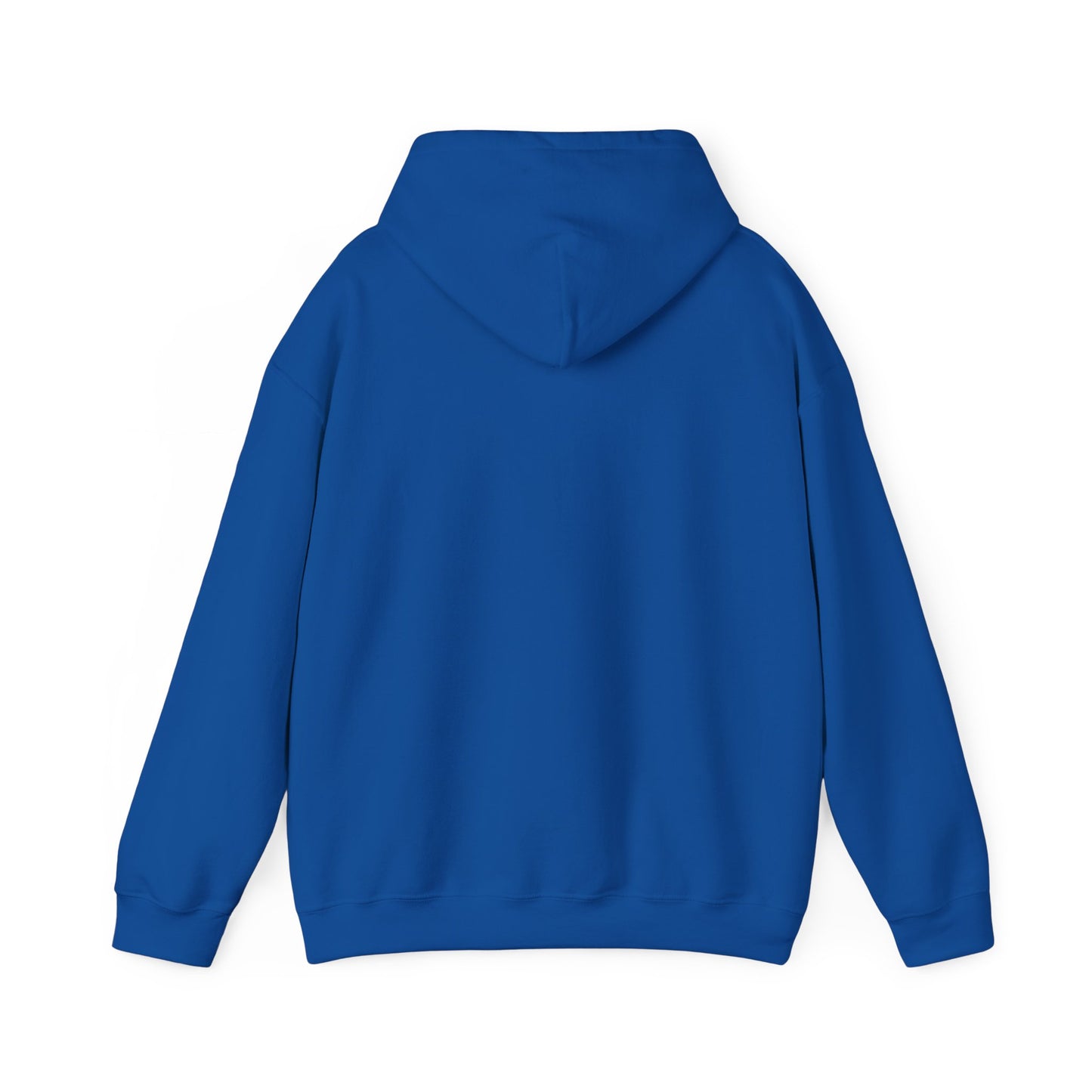 "Storm Spotting The Next Best Thing to Being There" Weather Spotter Hoodie