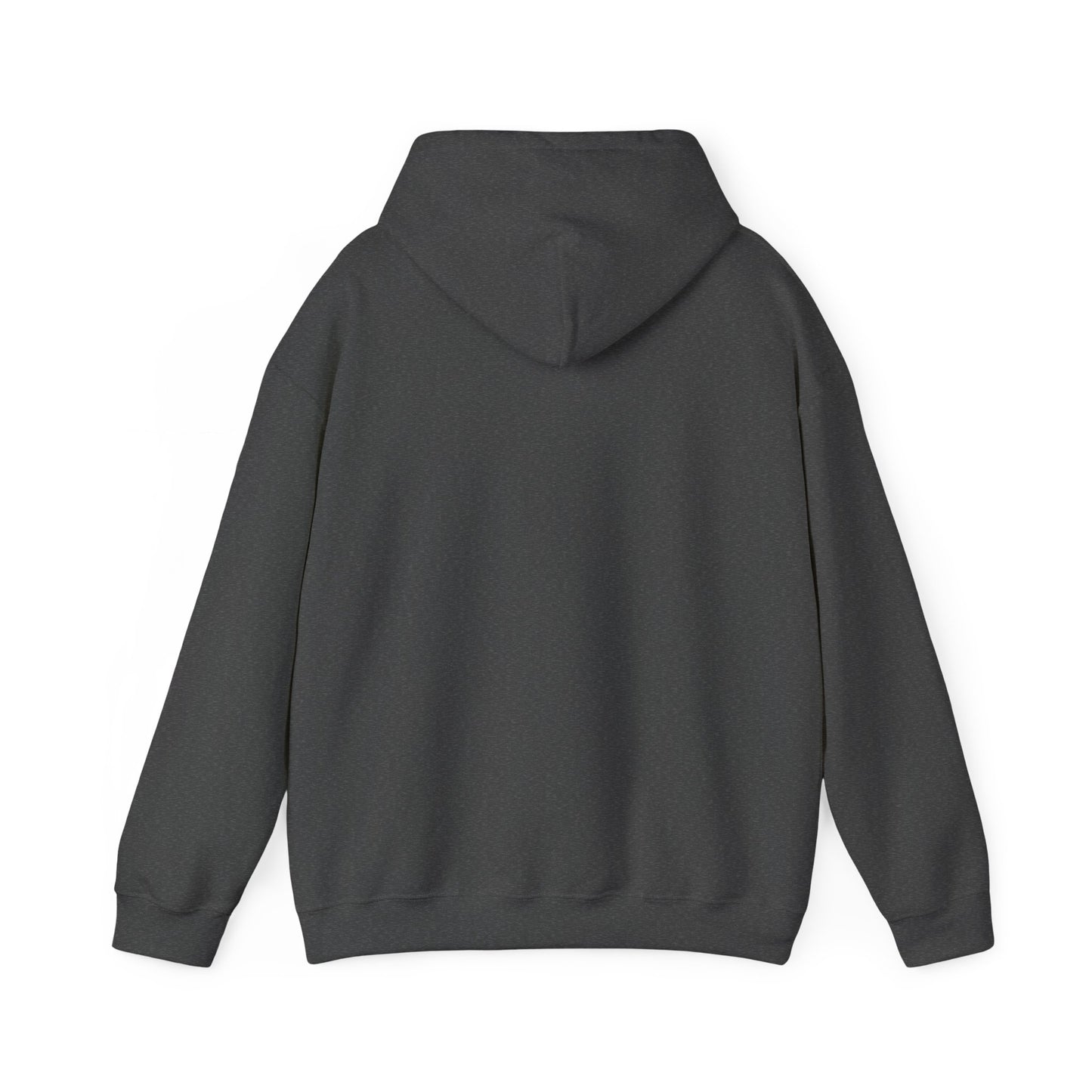 This is What I Live For Storm Spotting Hoodie - Tornado Graphic