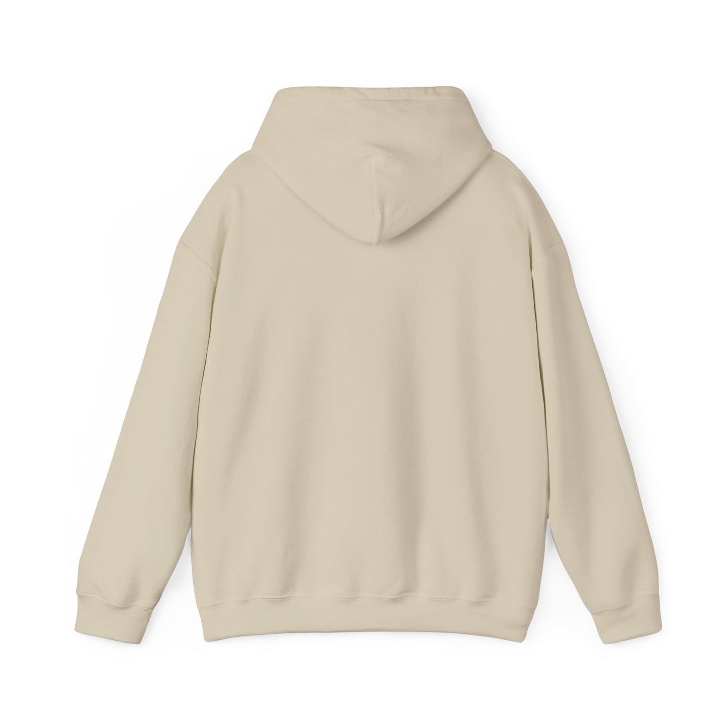 "Storm Spotting The Next Best Thing to Being There" Weather Spotter Hoodie