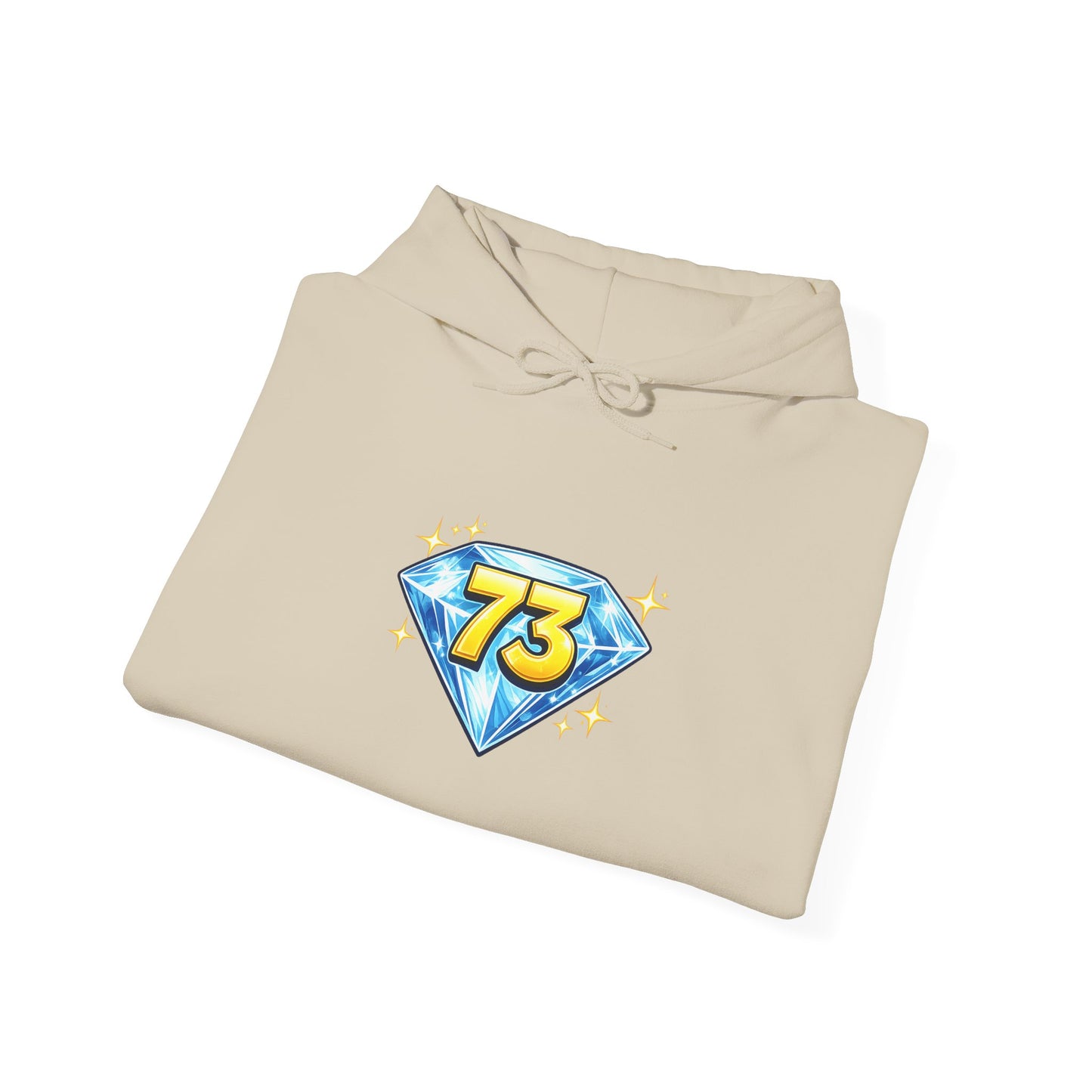 73 Hoodie — Sheldon's Prime or Best Wishes