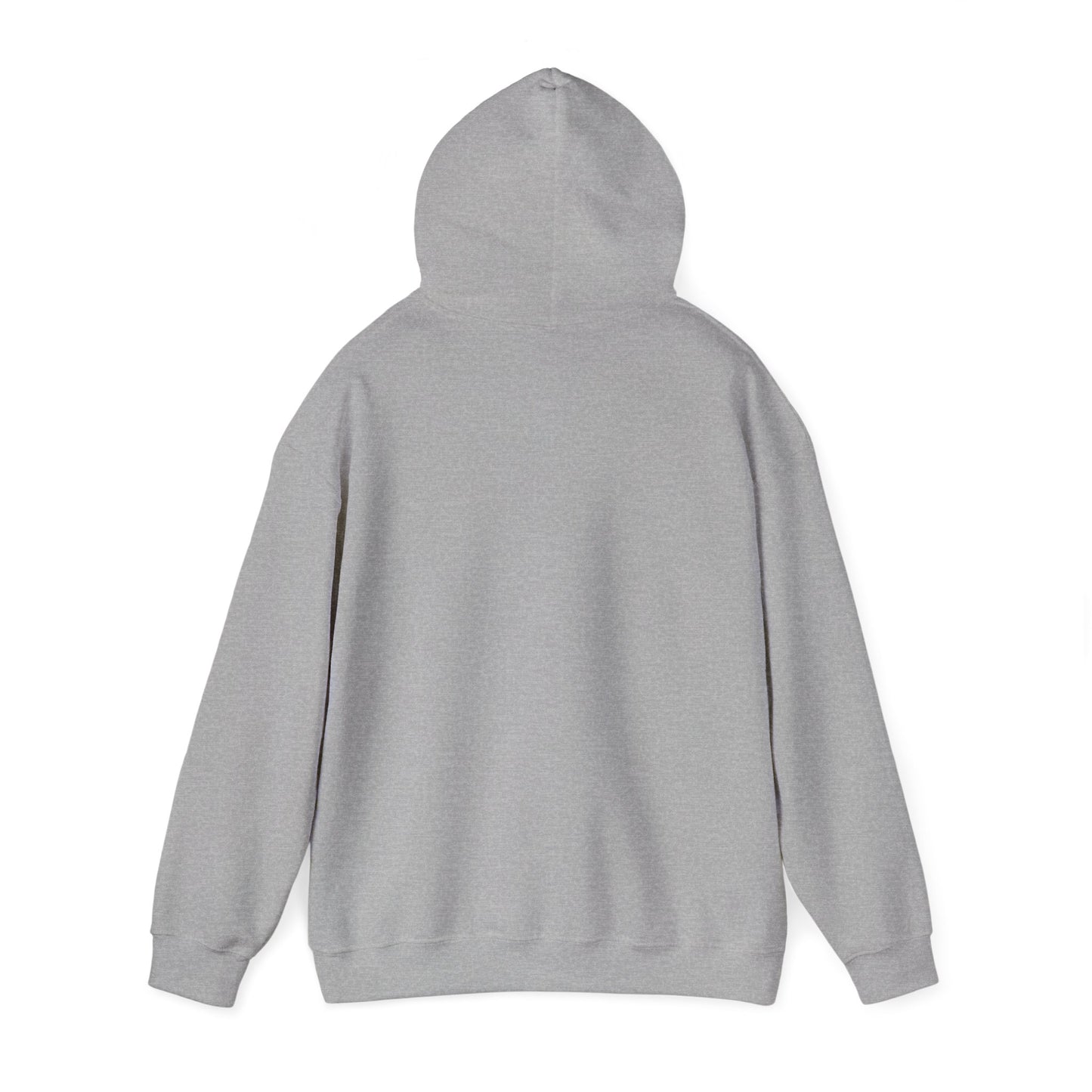 Field Day Fun Hoodie