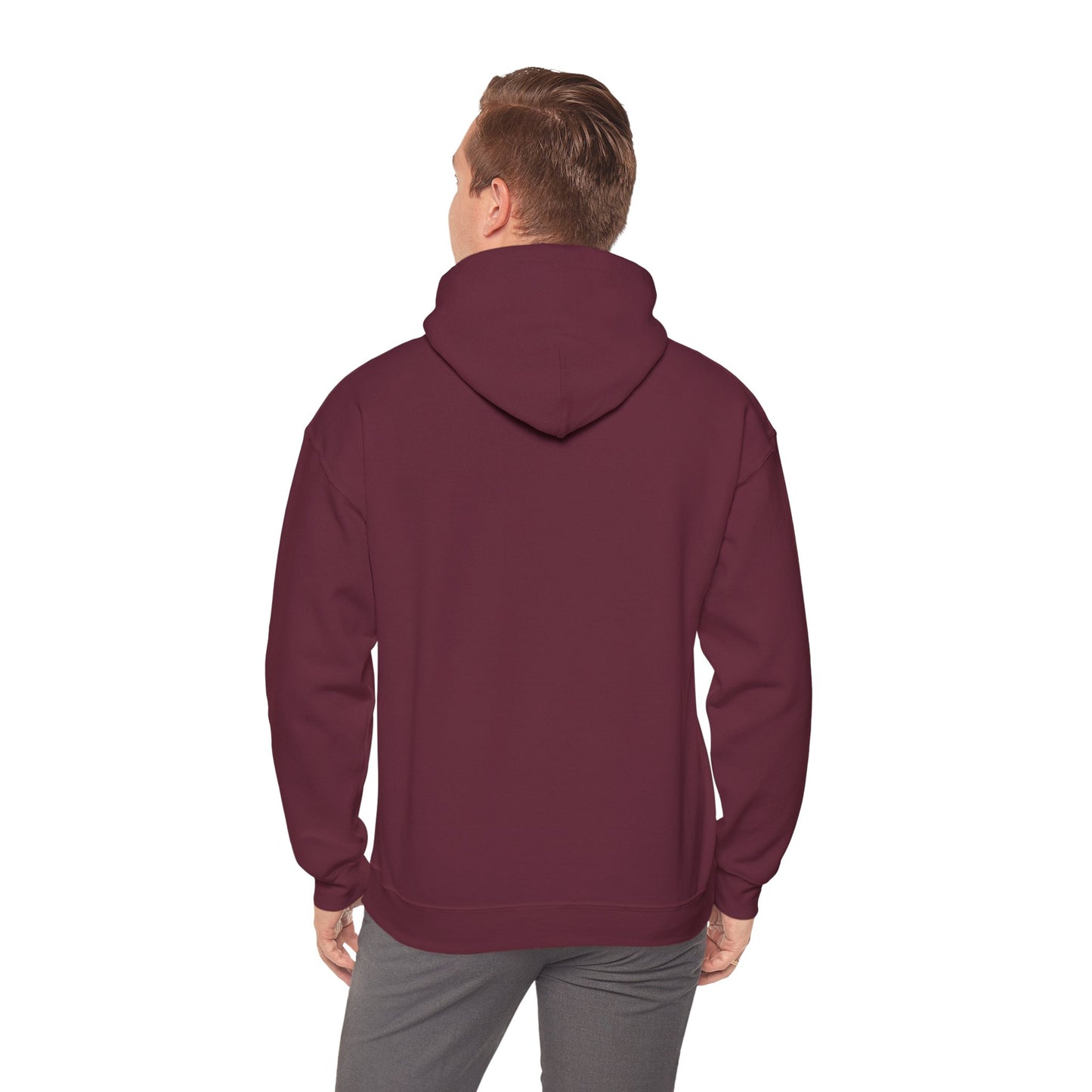 Volunteer Examiner Superhero Logo Hoodie